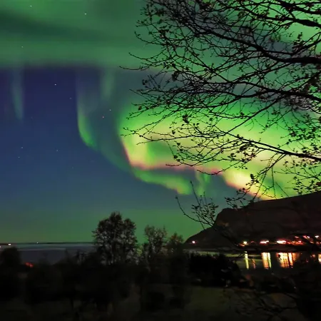 Midnight Sun And Nature Apartamento