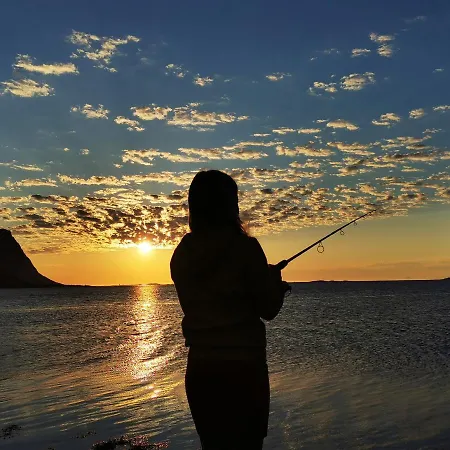 Midnight Sun And Nature * Rystad